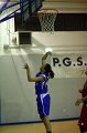 Basket 443005